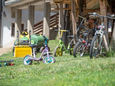 Farmhouse Wieserhof - Urlaub am Bauernhof - Environment photo 28