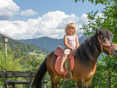 Farmhouse Wieserhof - Urlaub am Bauernhof - Environment photo 30