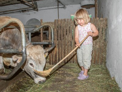 Farmhouse Wieserhof - Urlaub am Bauernhof - Environment photo 31