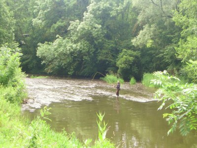 Holiday house Riverside Retreat Viroinval - Environment photo 20