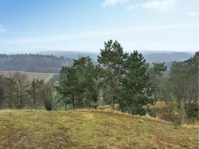 Holiday house Riverside Retreat Viroinval - Environment photo 23