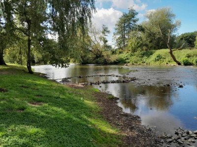 Holiday house Riverside Retreat Viroinval - Environment photo 24