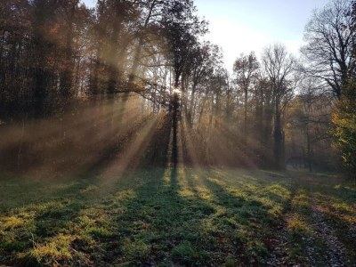 Holiday house Riverside Retreat Viroinval - Environment photo 25