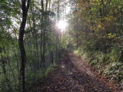Holiday house Riverside Retreat Viroinval - Environment photo 26
