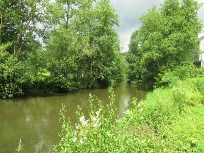 Holiday house Wohnung nahe Wald und Wanderwegen - Outdoor photo 9