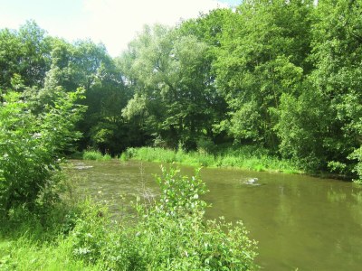 Holiday house Wohnung nahe Wald und Wanderwegen - Outdoor photo 12