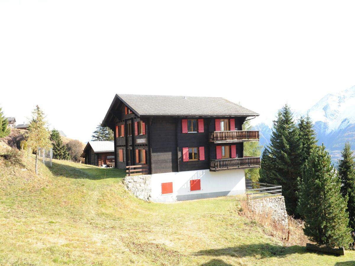 Apartment Spacious Apartment in Riederalp near Ski Trail