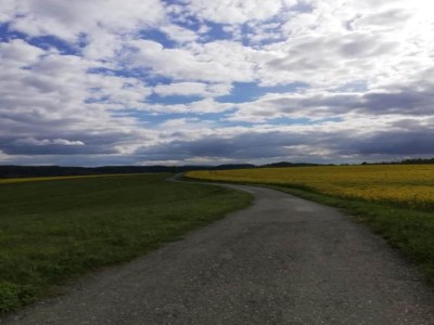 Holiday house Gemütliches Ferienhaus in Sebnitz - Environment photo 30