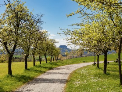 Holiday house Gemütliches Ferienhaus in Sebnitz - Environment photo 34
