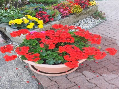 Apartment Familienspaß in Lichtenhain - Outdoor photo 7