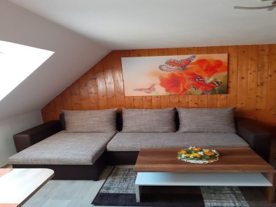 Apartment Familienspaß in Lichtenhain - Features photo 15