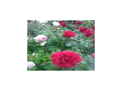 Apartment Familienspaß in Lichtenhain - Outdoor photo 20