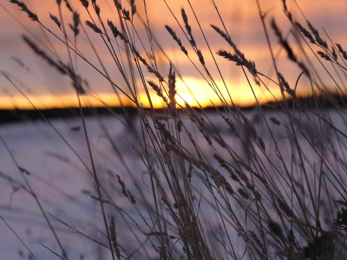 Holiday house Naturaufenthalt in Dankerode - Outdoor photo 2