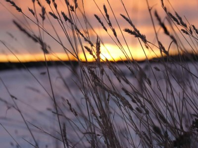 Holiday house Naturaufenthalt in Dankerode - Outdoor photo 2