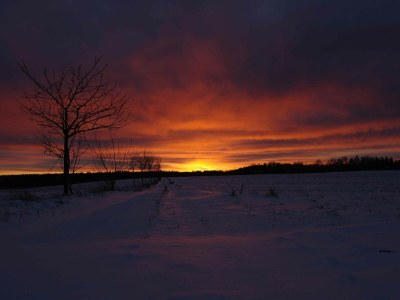 Holiday house Naturaufenthalt in Dankerode - Environment photo 11