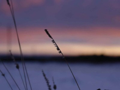 Holiday house Naturaufenthalt in Dankerode - Environment photo 12