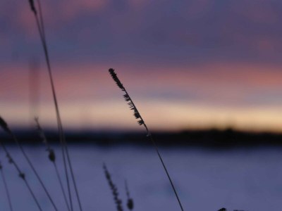 Holiday house Naturaufenthalt in Dankerode - Environment photo 14