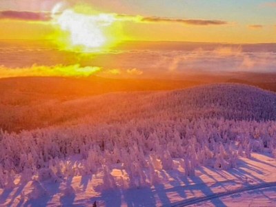 Holiday house Naturaufenthalt in Dankerode - Environment photo 15