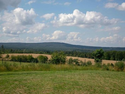 Holiday house Naturaufenthalt in Dankerode - Environment photo 17