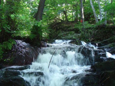 Holiday house Naturaufenthalt in Dankerode - Environment photo 18