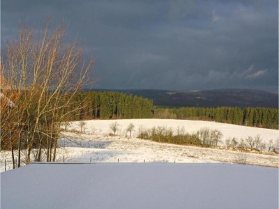 Holiday house Naturaufenthalt in Dankerode - Environment photo 19