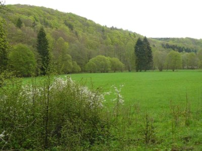 Holiday house Naturaufenthalt in Dankerode - Environment photo 21