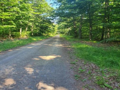 Holiday house Naturaufenthalt in Dankerode - Environment photo 23