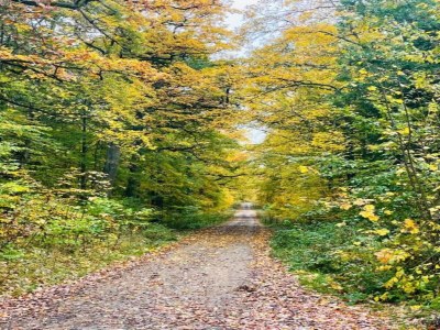 Holiday house Naturaufenthalt in Dankerode - Environment photo 25