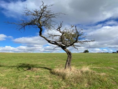Holiday house Naturaufenthalt in Dankerode - Environment photo 26