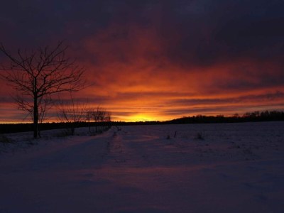 Holiday house Naturaufenthalt in Dankerode - Environment photo 27