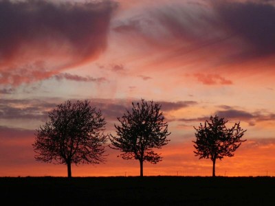 Holiday house Naturaufenthalt in Dankerode - Environment photo 32