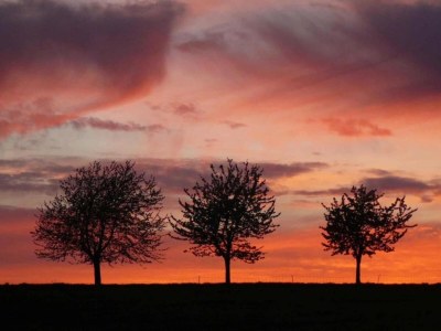 Holiday house Naturaufenthalt in Dankerode - Environment photo 33