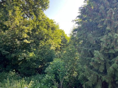 Holiday house Naturaufenthalt in Dankerode - Environment photo 34