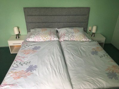 Apartment Gemütlicher Rückzugsort in Ballenstedt - Features photo 7