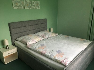 Apartment Gemütlicher Rückzugsort in Ballenstedt - Features photo 15