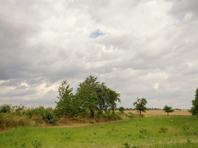 Apartment Gemütlicher Rückzugsort in Ballenstedt - Environment photo 19