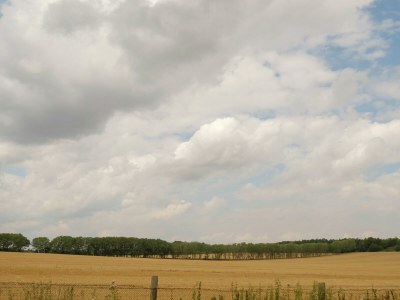 Apartment Gemütlicher Rückzugsort in Ballenstedt - Environment photo 23