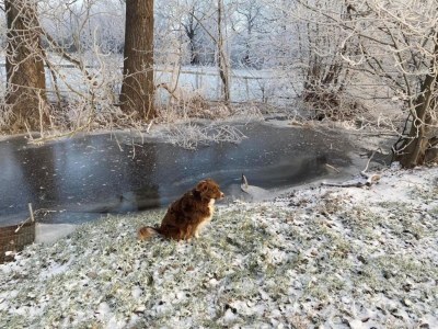 Apartment Gemütlicher Rückzugsort in Ballenstedt - Environment photo 29