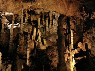 Apartment Ruhige Ferienwohnung mit Parkplatz in Thale - Environment photo 34