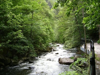 Holiday house Geräumiger Aufenthalt auf mehreren Ebenen - Environment photo 27