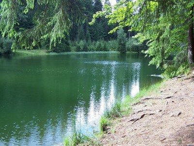 Holiday house Exklusives Gruppenhaus mit Heimkino - Environment photo 26