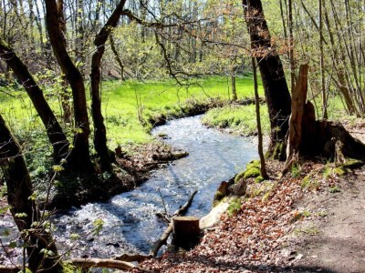 Holiday house Exklusives Gruppenhaus mit Heimkino - Environment photo 27