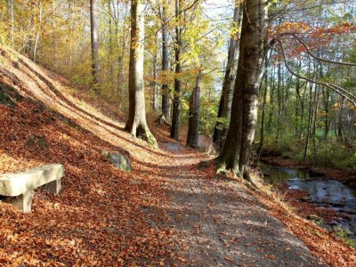 Holiday house Exklusives Gruppenhaus mit Heimkino - Environment photo 30