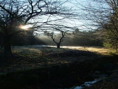 Holiday house Exklusives Gruppenhaus mit Heimkino - Environment photo 31