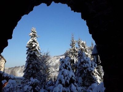 Apartment Cozy Ski Base with Garden - Outdoor photo 6