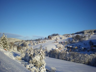 Apartment Cozy Ski Base with Garden - Outdoor photo 13