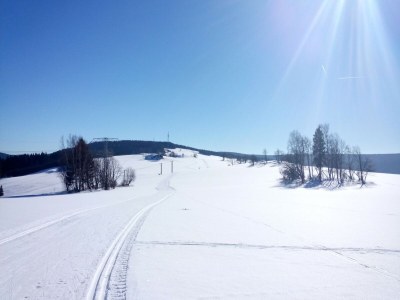 Apartment Cozy Ski Base with Garden - Environment photo 37