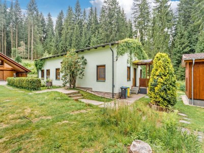 Holiday house Forest Retreat in Jägersgrün - Outdoor photo 4