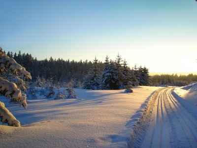 Holiday house Peaceful Stay in Jägersgrün - Environment photo 26