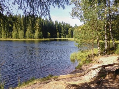 Holiday house Peaceful Stay in Jägersgrün - Environment photo 27